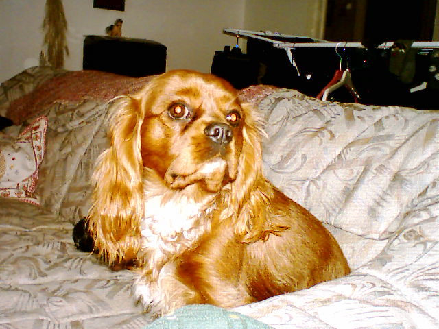 Bild 11.jpg